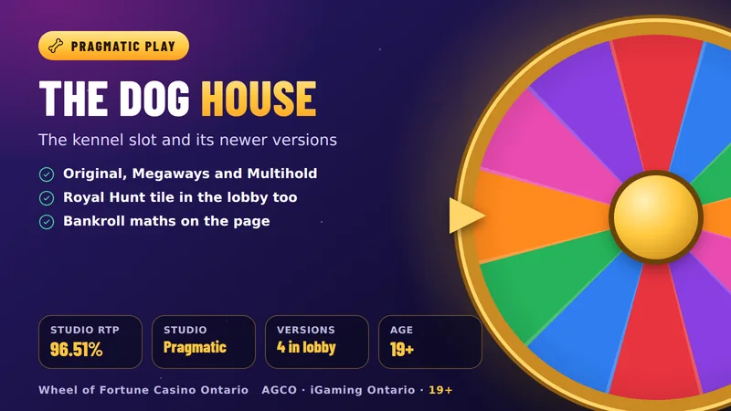 The Dog House card: studio RTP 96.51%, Pragmatic Play, four versions in the lobby